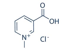 Selleck Chemical LLC Trigonelline Hydrochloride 25mg 6138-41-6 Nicotinic