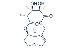 Selleck Chemical LLC Monocrotaline 25mg 315-22-0 Crotaline, Quantity: Each