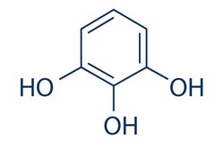 Selleck Chemical LLC Pyrogallol 25mg 87-66-1 1,2,3-trihydroxybenzene, Quantity: