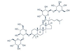 Selleck Chemical LLC Ginsenoside Rb1 5mg 41753-43-9 Gypenoside, Quantity: