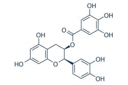 Selleck Chemical LLC (-)-Epicatechin gallate 25mg 1257-08-5 ()-ECG, ()-Epicatechin