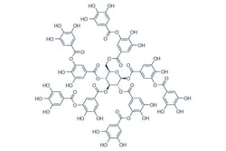 Selleck Chemical LLC Tannic acid 25mg 1401-55-4 Gallotannic acid