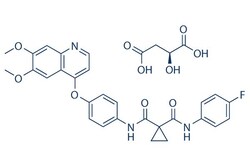 Selleck Chemical LLC Cabozantinib malate (XL184) 10mg 1140909-48-3, Quantity: