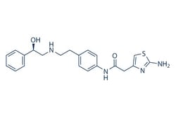 Selleck Chemical LLC Mirabegron 5mg 223673-61-8 YM 178, Quantity: Each