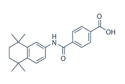Selleck Chemical LLC Tamibarotene 50mg 94497-51-5, Quantity: Each of 1