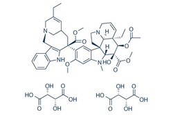 Selleck Chemical LLC Vinorelbine Tartrate 10mg 125317-39-7, Quantity: Each