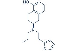 Selleck Chemical LLC Rotigotine 10mg 99755-59-6, Quantity: Each of 1