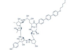 Selleck Chemical LLC Anidulafungin (LY303366) 10mg 166663-25-8, Quantity: