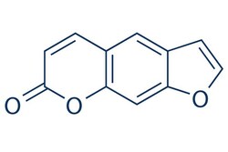 Selleck Chemical LLC Psoralen 50mg 66-97-7 Psoralene, Ficusin, Furocoumarin,