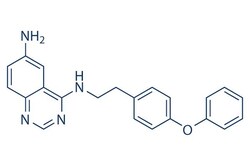 Selleck Chemical LLC QNZ (EVP4593) 5mg 545380-34-5, Quantity: Each of 1