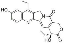Selleck Chemical LLC SN-38 10mg 86639-52-3, Quantity: Each of 1