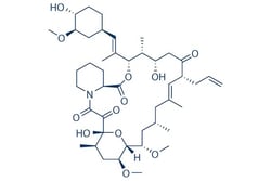 Selleck Chemical LLC Tacrolimus (FK506) 500mg 104987-11-3 FR900506, Fujimycin,