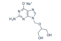 Selleck Chemical LLC Ganciclovir sodium 25mg 107910-75-8 RS-21592 sodium,