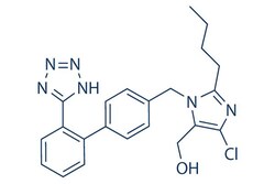 Selleck Chemical LLC Losartan 25mg 114798-26-4, Quantity: Each of 1