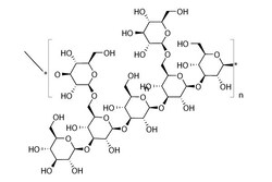 Selleck Chemical LLC Lentinan 25mg 37339-90-5 A823605, Bromoduline, Quantity: