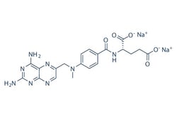 Selleck Chemical LLC Methotrexate disodium 25mg 7413-34-5, Quantity: Each