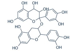 Selleck Chemical LLC Proanthocyanidins 25mg 20347-71-1 condensed tannins,