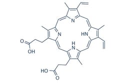 Selleck Chemical LLC Protoporphyrin IX 5mg 553-12-8 PPIX, Quantity: Each
