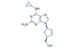Selleck Chemical LLC Abacavir 25mg 136470-78-5, Quantity: Each of 1