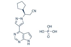 Selleck Chemical LLC Ruxolitinib Phosphate 25mg 1092939-17-7 INCB018424,