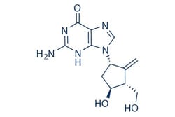 Selleck Chemical LLC Entecavir S5246-25mg, Quantity: Each of 1