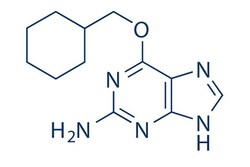 Selleck Chemical LLC NU2058 10mg 161058-83-9 O(6)-Cyclohexylmethylguanine,