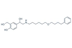 Selleck Chemical LLC&nbsp;Salmeterol 5mg 89365-50-4 Astmerole, GR-33343X, SN408D