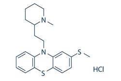 Selleck Chemical LLC Thioridazine hydrochloride 25mg 130-61-0 Aldazine,