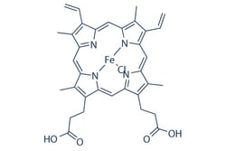 Selleck Chemical LLC Hemin 25mg 16009-13-5 protohemin, Quantity: Each of