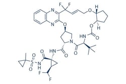 Selleck Chemical LLC Glecaprevir 1mg 1365970-03-1, Quantity: Each of 1