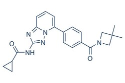 Selleck Chemical LLC Solcitinib 5mg 1206163-45-2 GLPG0778, GSK2586184,