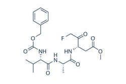 Selleck Chemical LLC Z-VAD-FMK 1mg 187389-52-2, Quantity: Each of 1