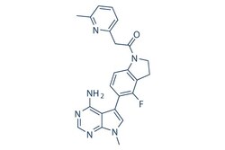 Selleck Chemical LLC GSK2656157 50mg 1337532-29-2, Quantity: Each of 1