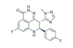 Selleck Chemical LLC Talazoparib (BMN 673) 10mg 1207456-01-6 LT-673, Quantity:
