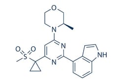 Selleck Chemical LLC AZ20 5mg 1233339-22-4, Quantity: Each of 1