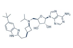 Selleck Chemical LLC Pinometostat (EPZ5676) 10mg 1380288-87-8, Quantity:
