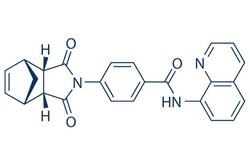 Selleck Chemical LLC IWR-1-endo 25mg 1127442-82-3, Quantity: Each of 1