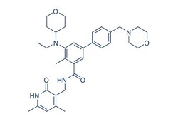 Selleck Chemical LLC Tazemetostat (EPZ-6438) 10mg 1403254-99-8 E7438, Quantity: