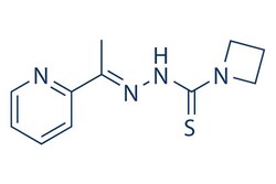 Selleck Chemical LLC NSC 319726 5mg 71555-25-4, Quantity: Each of 1