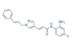 Selleck Chemical LLC RGFP966 10mg 1396841-57-8, Quantity: Each of 1