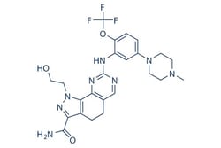 Selleck Chemical LLC Onvansertib (NMS-P937) 10mg 1034616-18-6 PCM-075,
