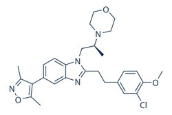 Selleck Chemical LLC SGC-CBP30 10mg 1613695-14-9, Quantity: Each of 1