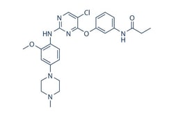 Selleck Chemical LLC WZ4003 5mg 1214265-58-3, Quantity: Each of 1