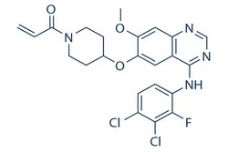 Selleck Chemical LLC Poziotinib (HM781-36B) 5mg 1092364-38-9 NOV120101,