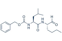 Selleck Chemical LLC&nbsp;Calpeptin 10mg 117591-20-5