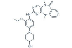 Selleck Chemical LLC XMD8-92 10mg 1234480-50-2, Quantity: Each of 1