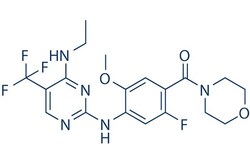 Selleck Chemical LLC GNE-7915 10mg 1351761-44-8, Quantity: Each of 1