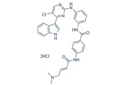 Selleck Chemical LLC THZ1 2HCl 5mg 1604810-83-4(freebase), Quantity: Each