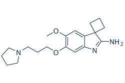 Selleck Chemical LLC A-366 10mg 1527503-11-2, Quantity: Each of 1