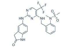 Selleck Chemical LLC PF-431396 10mg 717906-29-1, Quantity: Each of 1